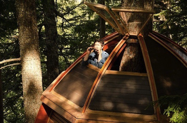 Những[-]"thiên[-]đường"[-]treo[-]trên[-]cây[-]tuyệt[-]đẹp[-]6